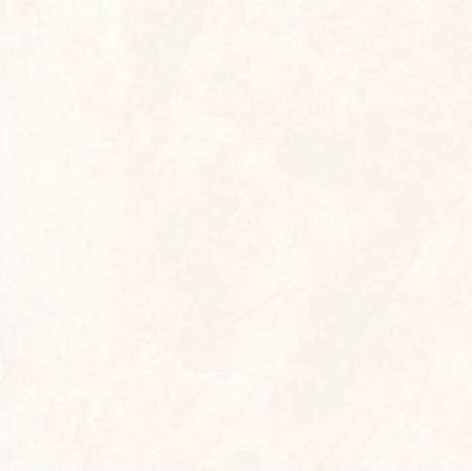 Ovela White Polished | President | 24 x 24 - Image 2